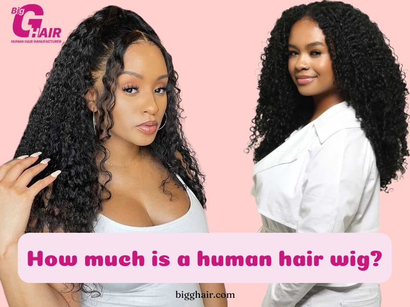 How Much Is a Human Hair Wigs? Factors to Consider?