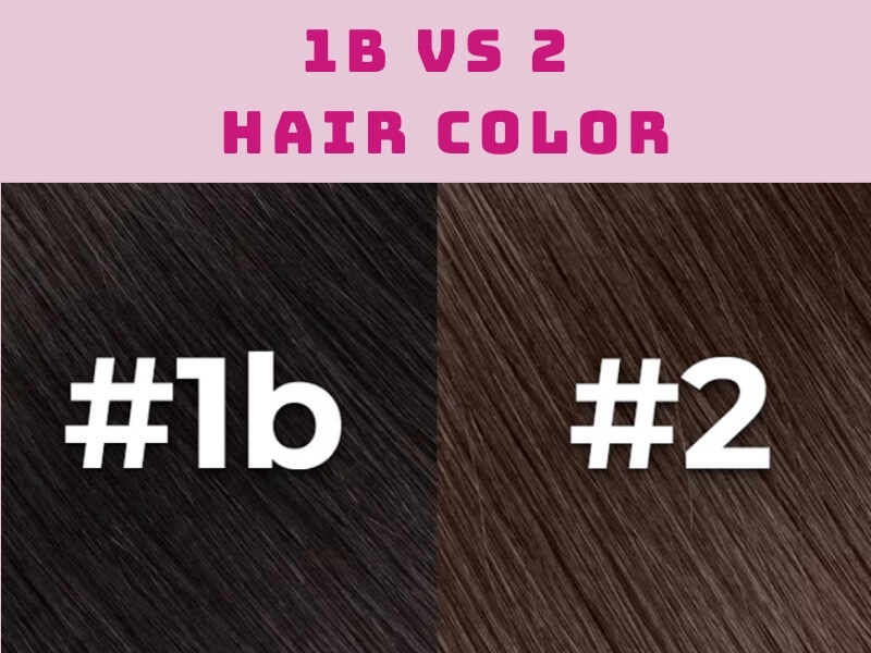 Color #2 is typically classified as a dark brown, making it a step lighter than 1B. 