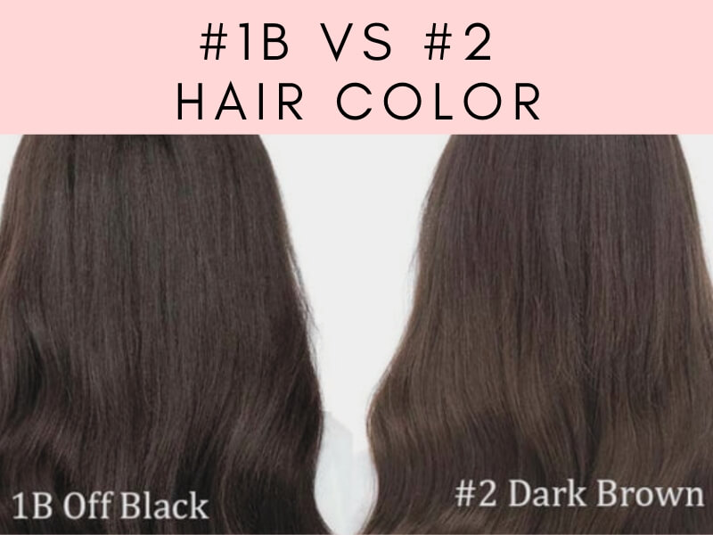 When distinguishing between 1B vs #2 hair colors, the key difference lies in their base tones. 