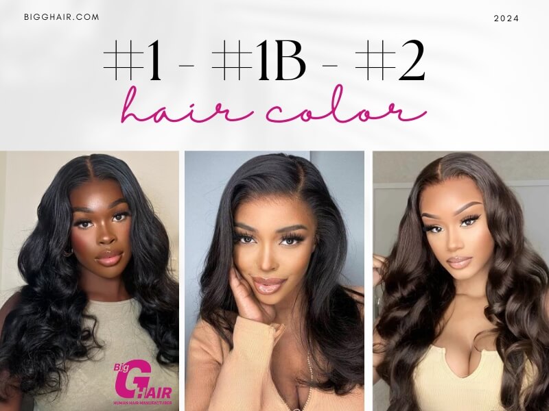 1, 1B vs 2 Hair Color Explained – What Is The Difference?